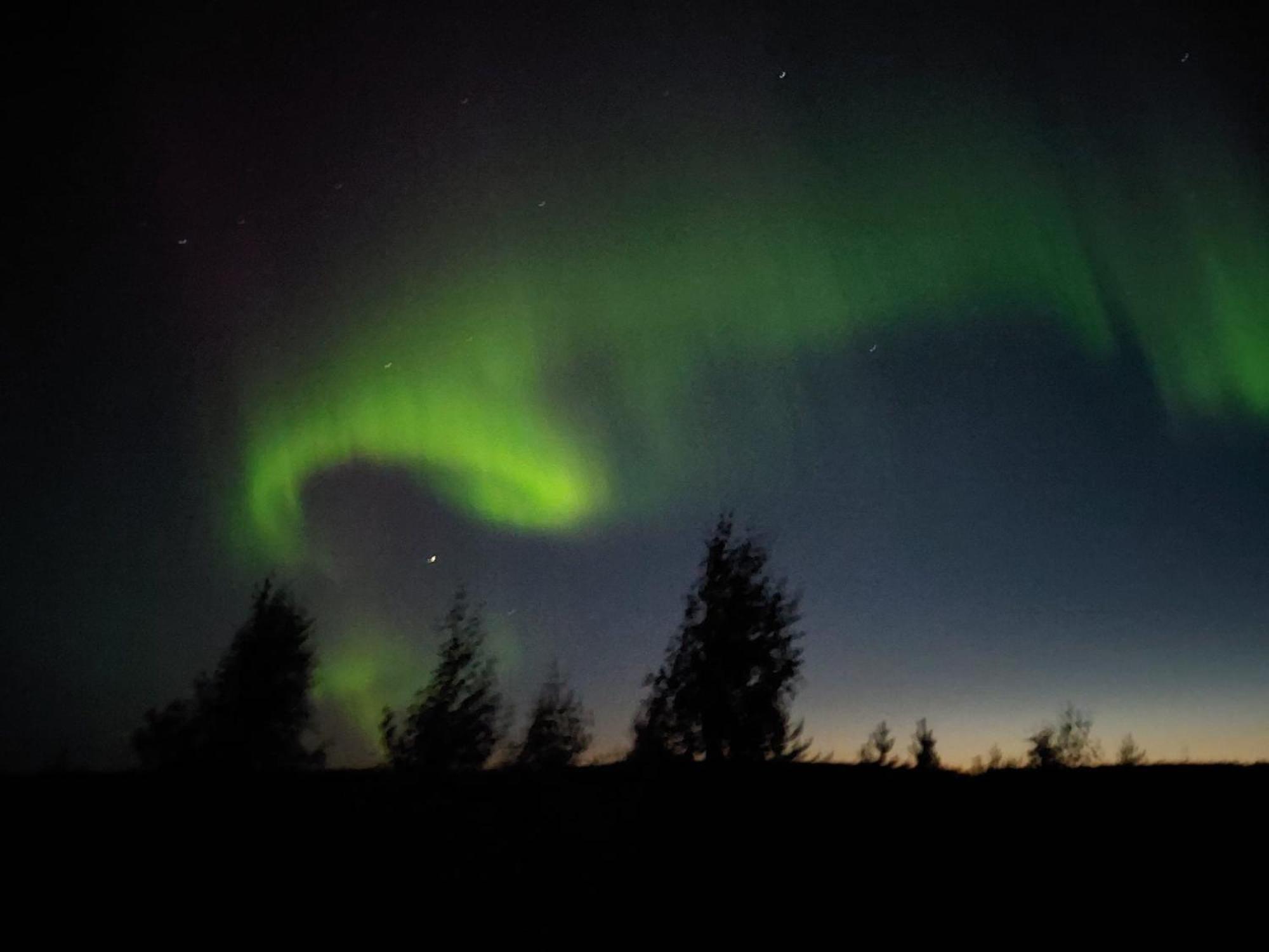 Lapland Forest Lodge Rovaniemi Dış mekan fotoğraf